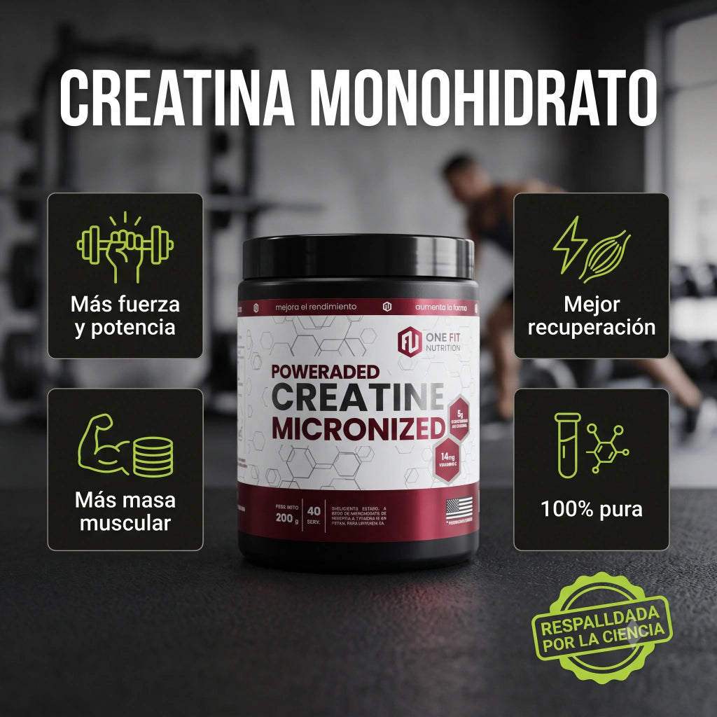 Creatina Monohidrato 500 Grs One Fit