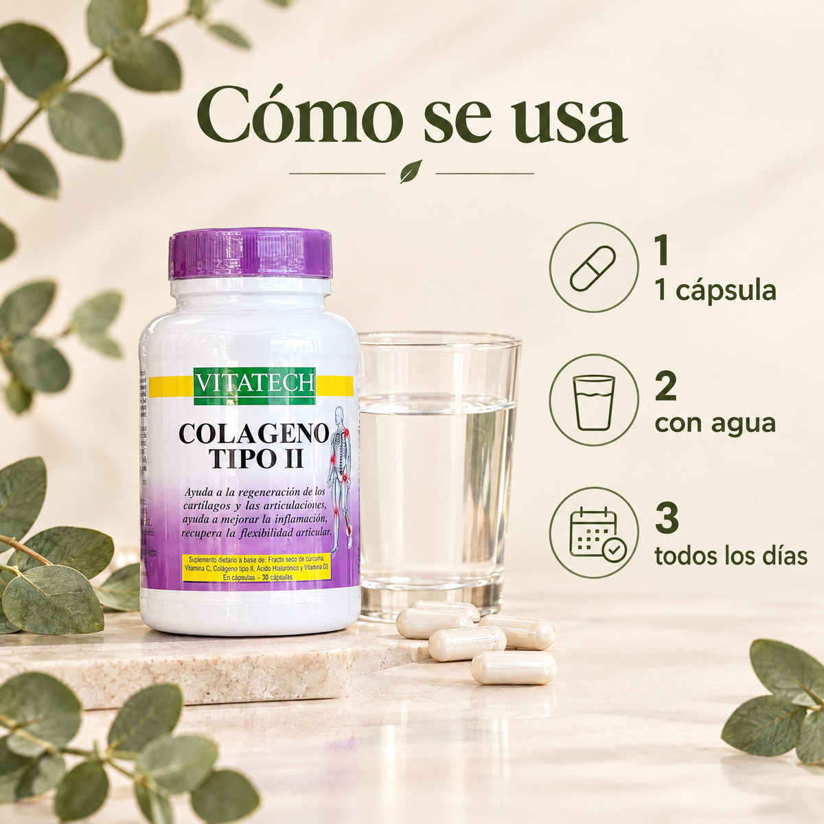 Colageno tipo 2 - como se usa