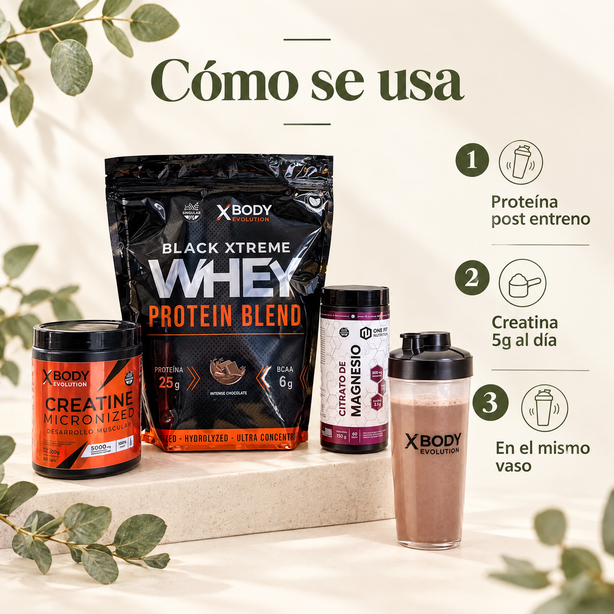 Combo Proteina + Creatina - como se usa