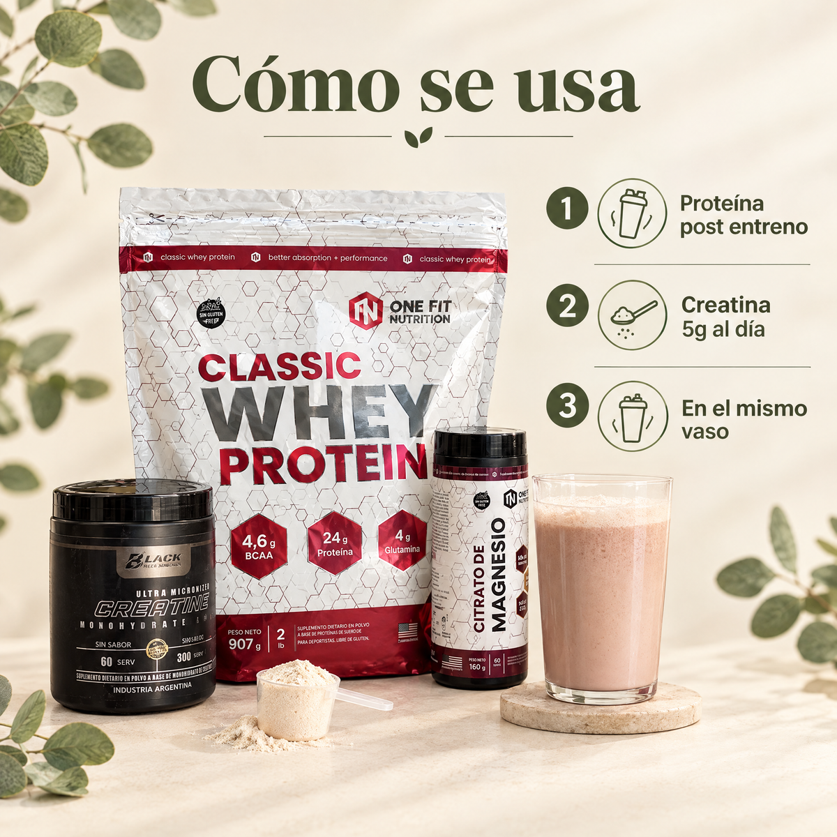 Combo Proteina + Creatina - como se usa