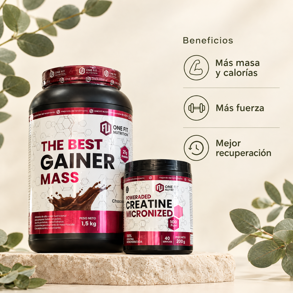 Combo Gainer + Creatina - beneficios