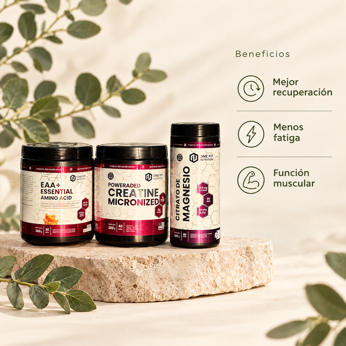 Combo Recuperacion - beneficios